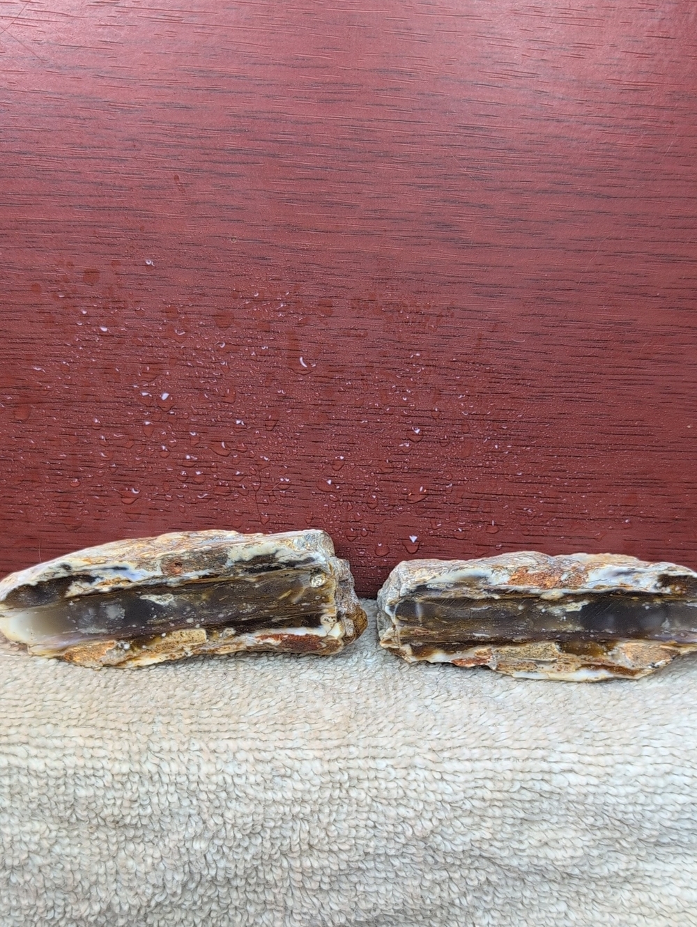Agate #27